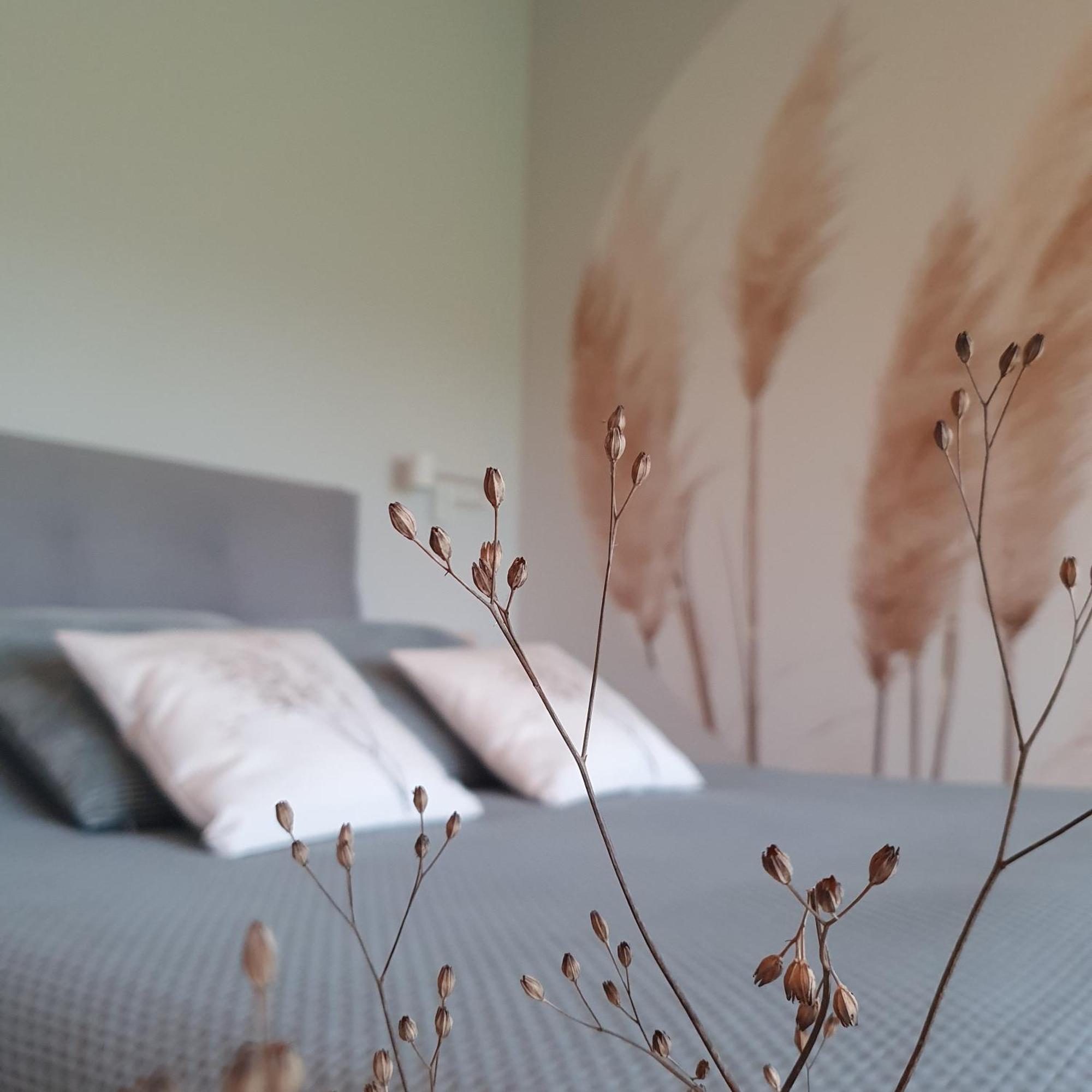 Bed and Breakfast Hippe Schuur Tytsjerk Exterior foto